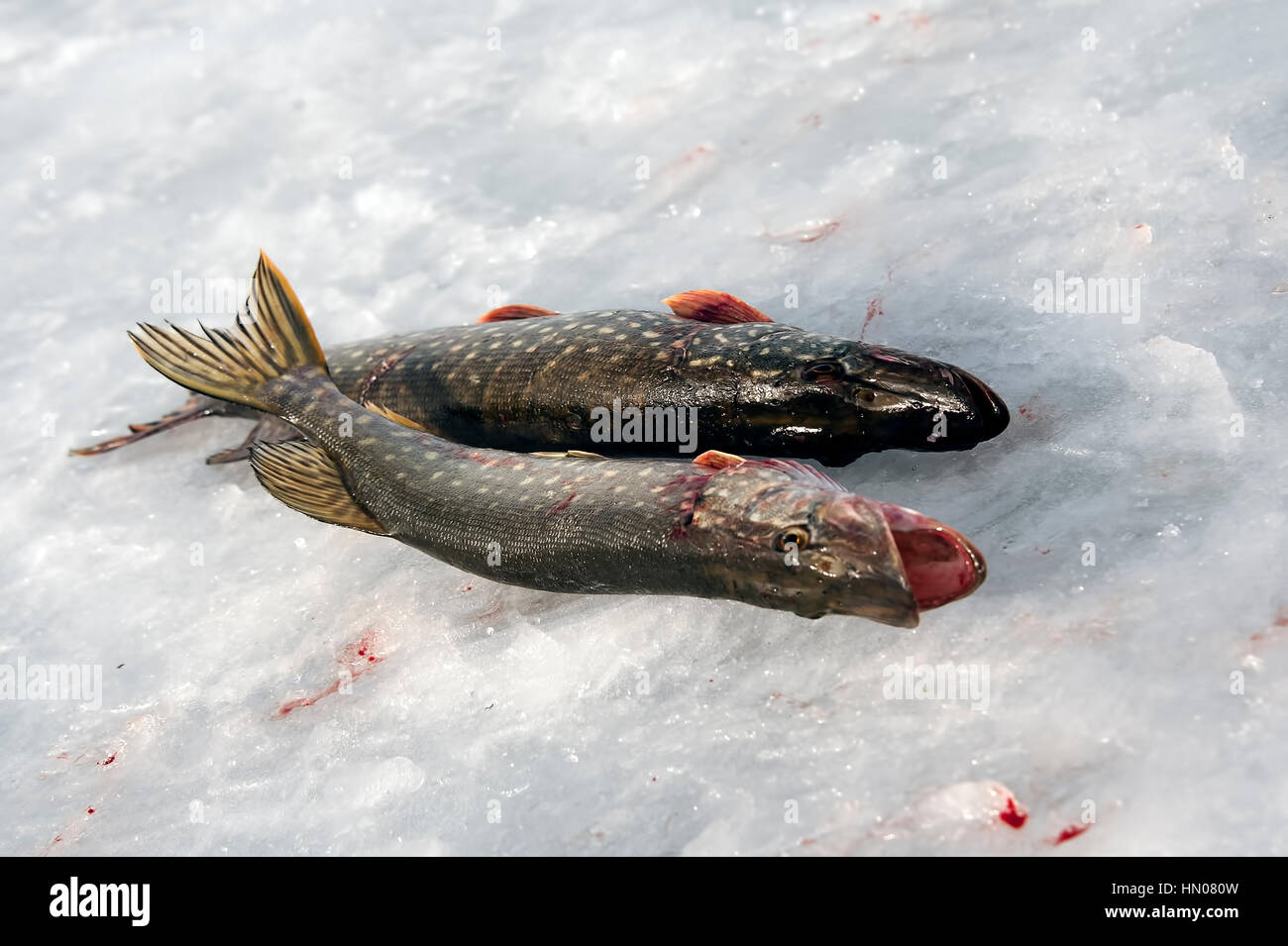 Ice fishing man sitting on hi-res stock photography and images - Alamy