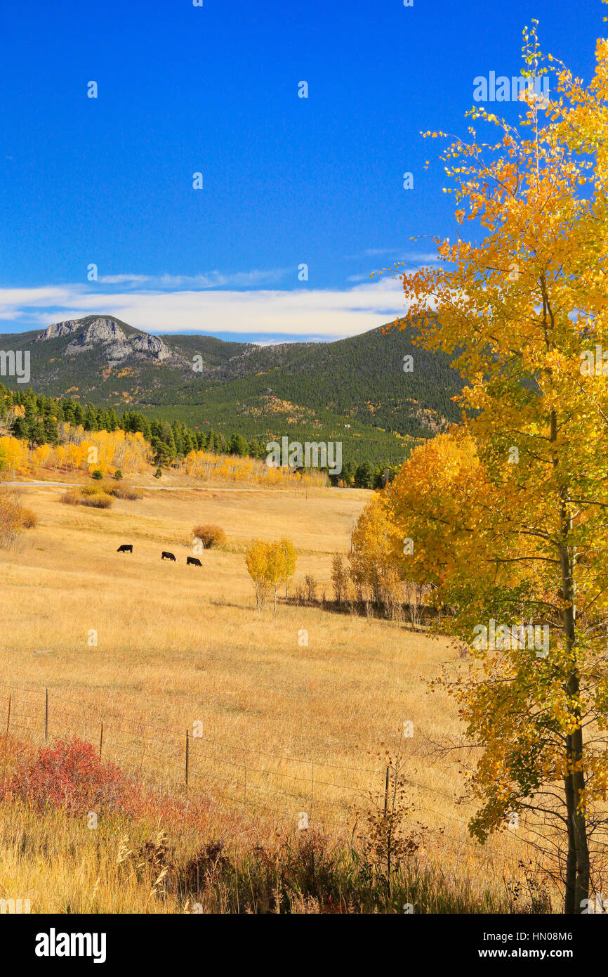 Peak to Peak Highway Near Black Hawk, Colorado, USA Stock Photo