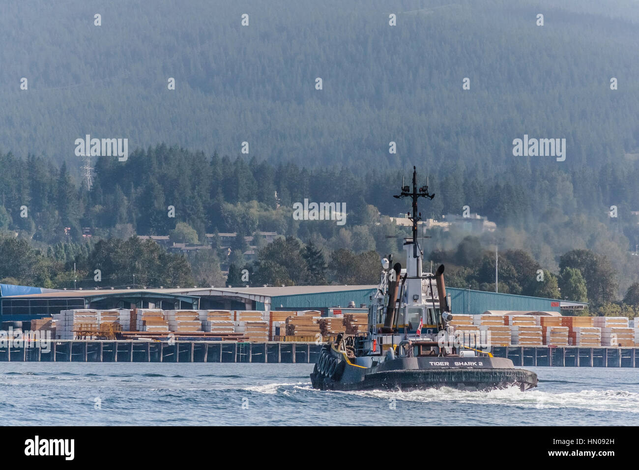 The tugboat 'Tiger Shark 2' is underway towards a shipping terminal wharf that is stacked with lumber, with North Vancouver in the background. Stock Photo