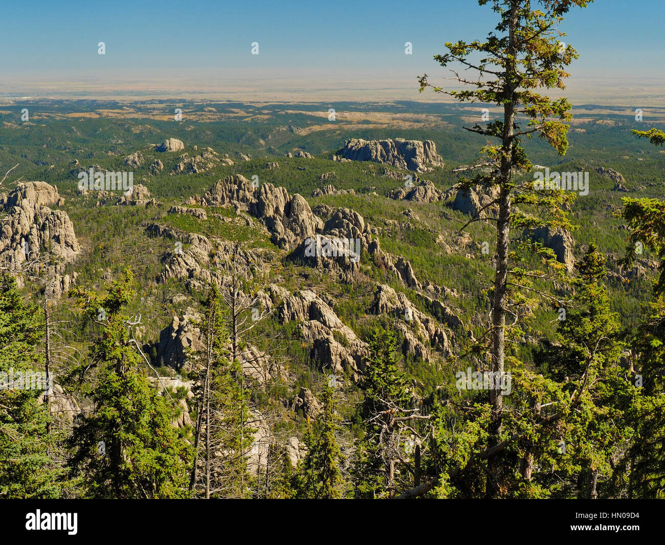 Harney Peak Trail No. 9. Black Elk Wilderness, Custer State Park, Black ...