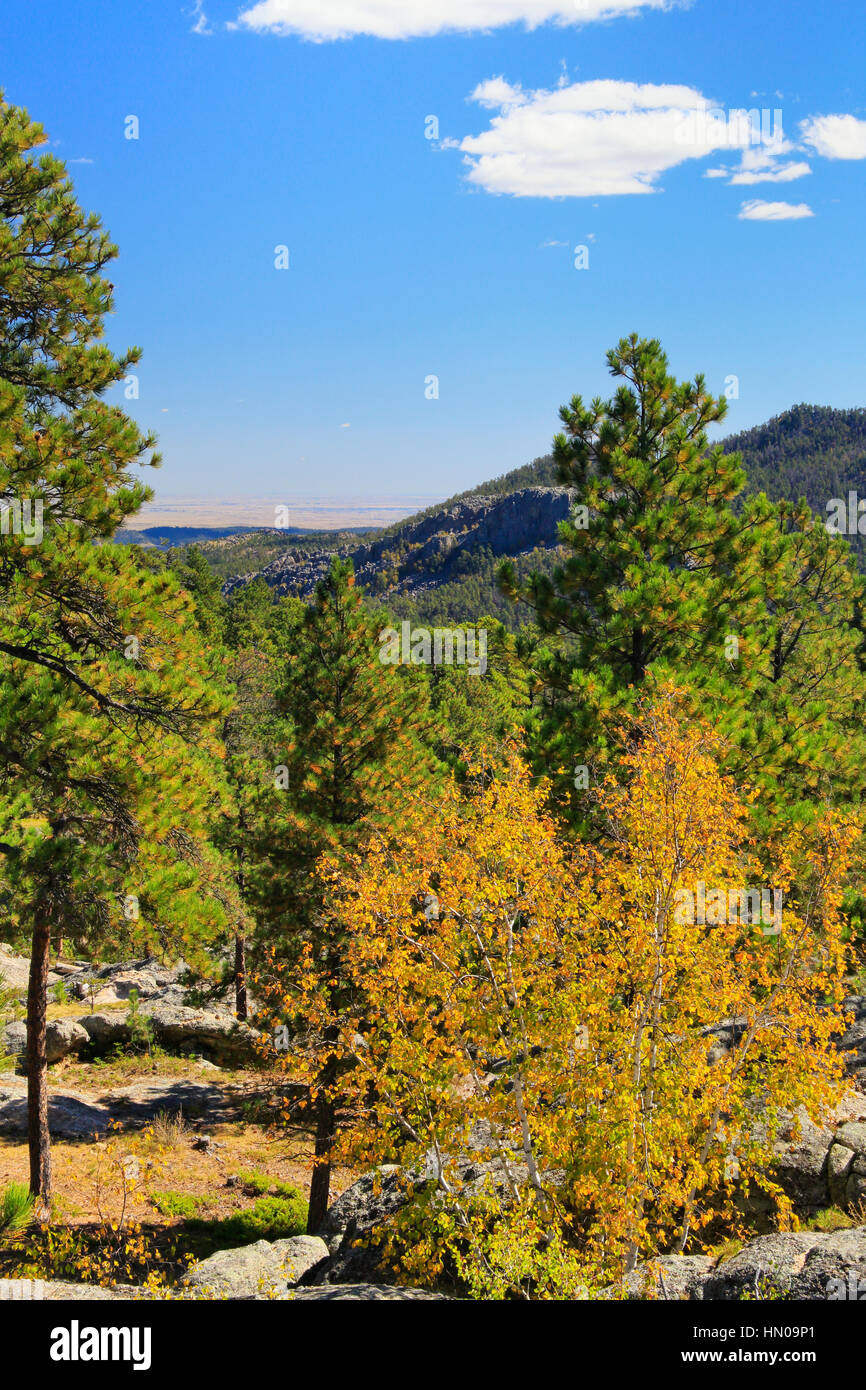 Iron Mountain Paek, Iron Mountain Road, Peter Norbeck Scenic Highway