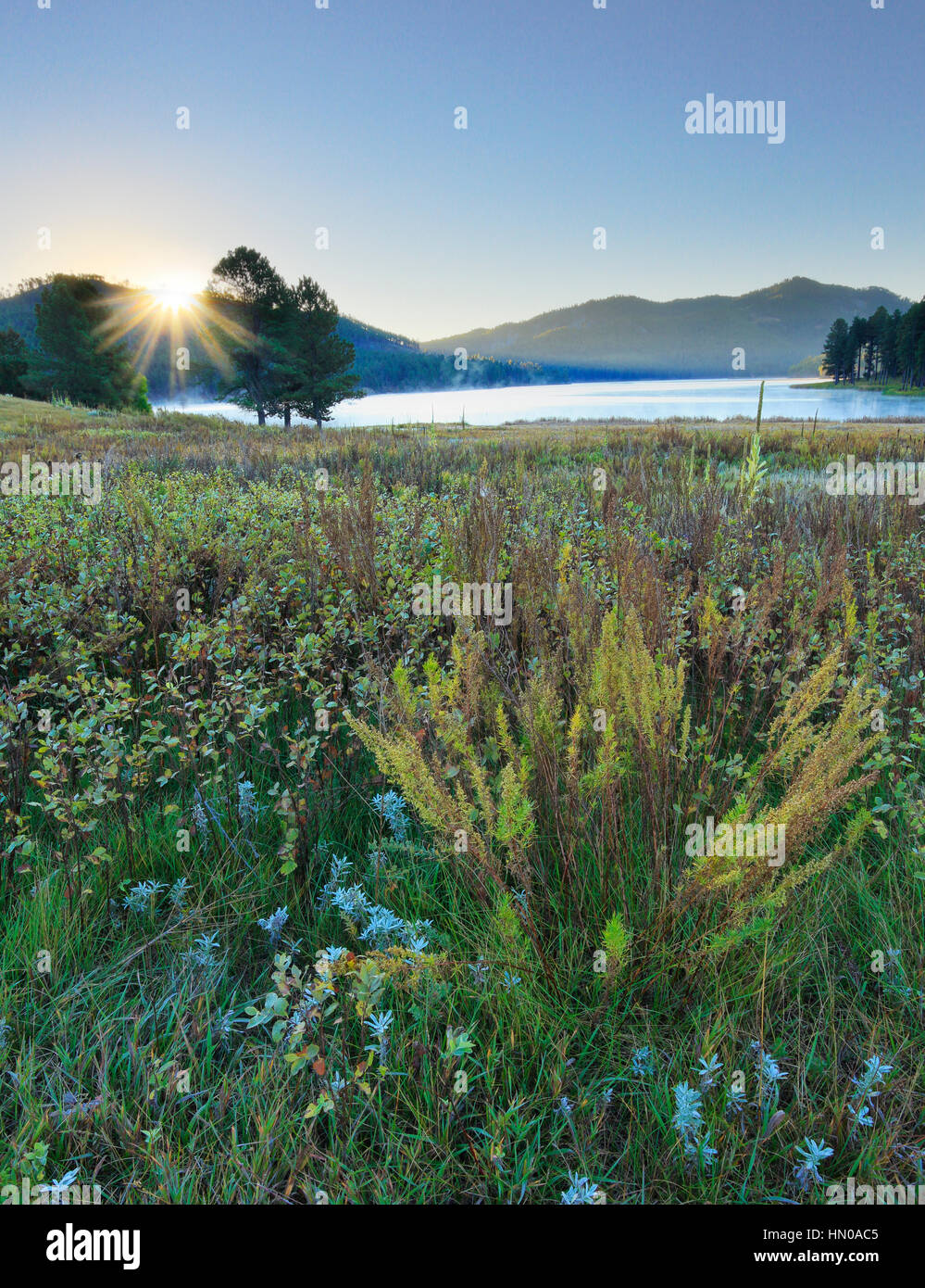 Sunrise, Sheridan Lake, Black Hills, Hill City, South Dakota, USA Stock