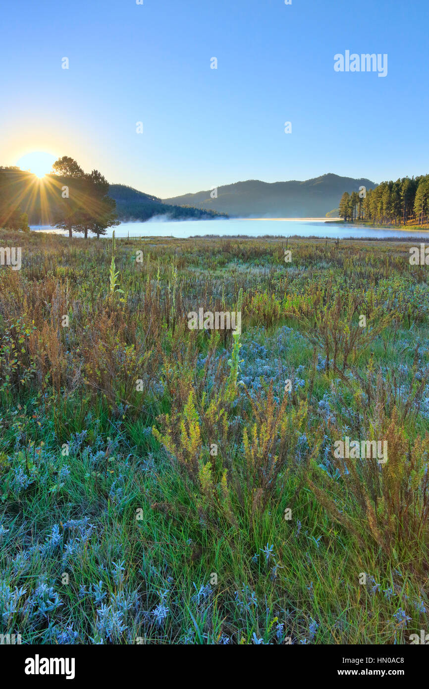 Sunrise, Sheridan Lake, Black Hills, Hill City, South Dakota, USA Stock