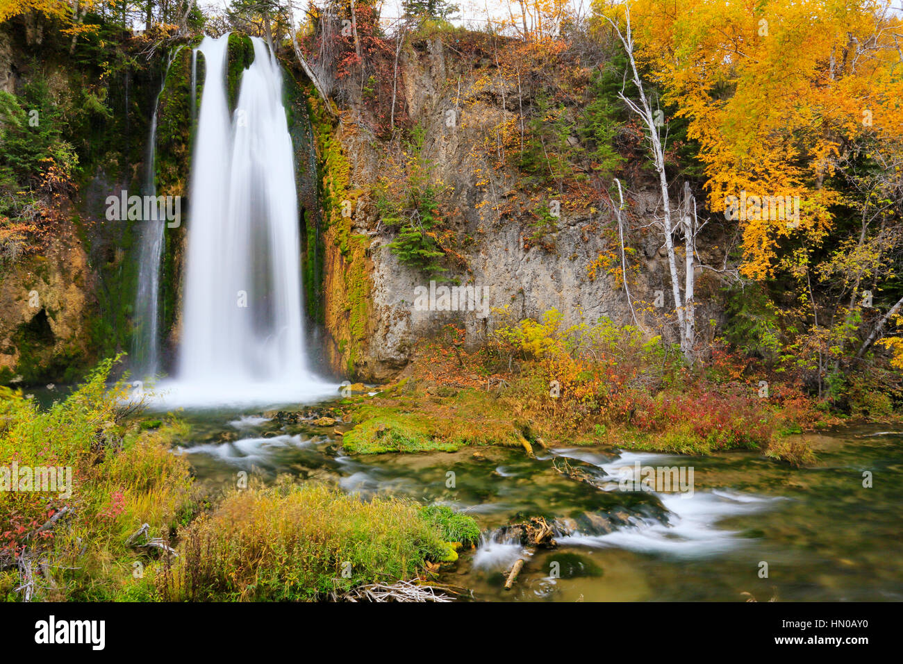 Spearfish Falls, Spearfish Canyon, Black Hills, Savoy, South Dakota, USA Stock Photo