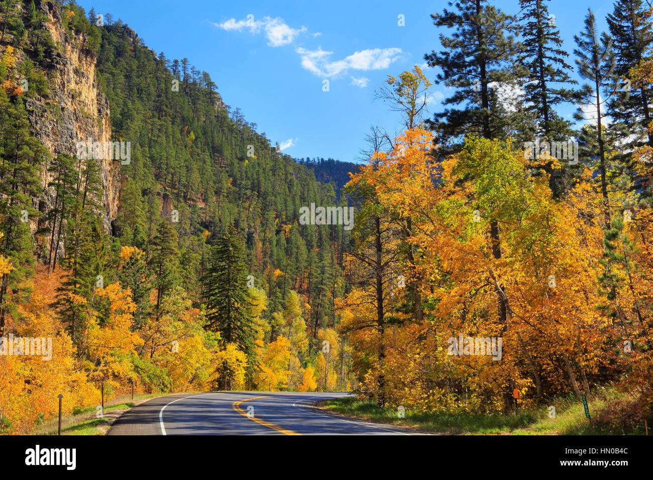 Spearfish Canyon, Black Hills, Spearfish, South Dakota, USA Stock Photo