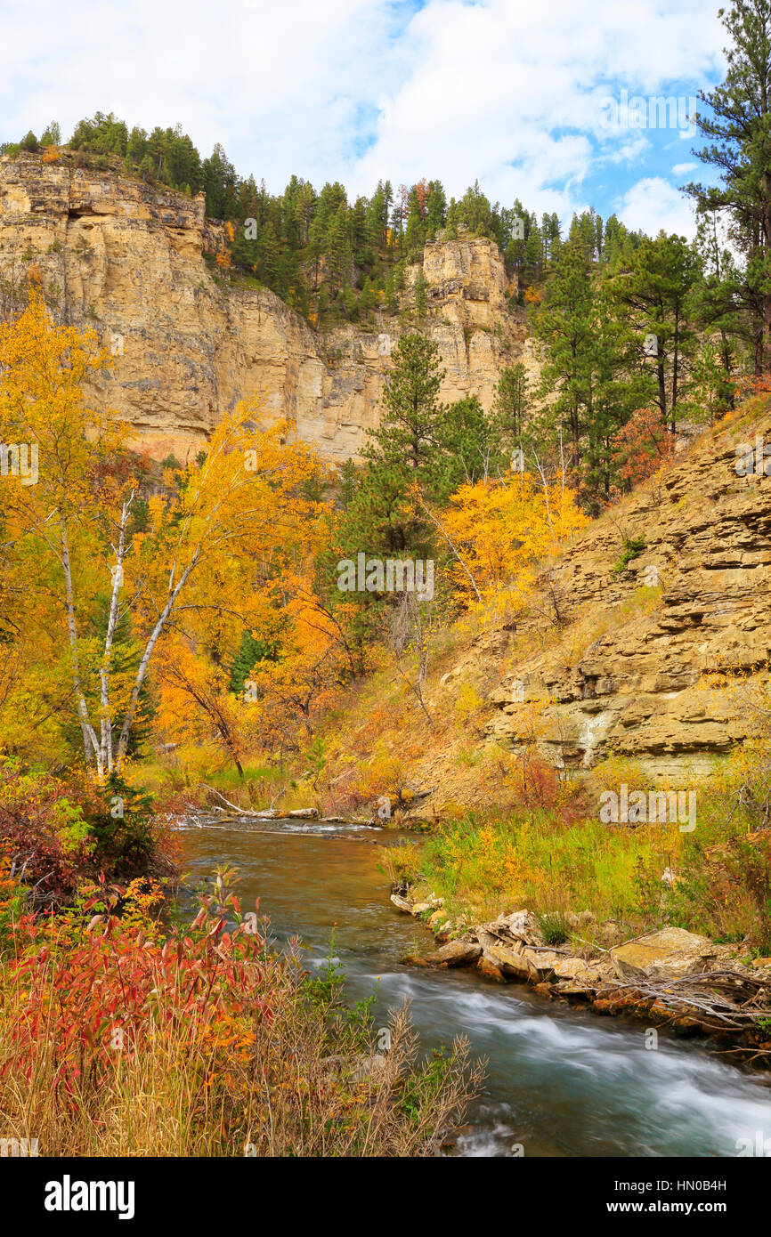 Long Valley Picnic Area, Spearfish Creek, Spearfish Canyon, Black Hills