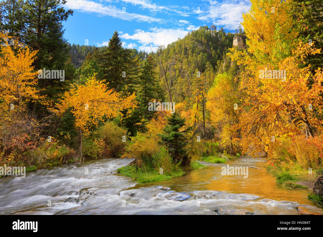 Spearfish Creek, Spearfish Canyon, Spearfish, South Dakota, USA Stock