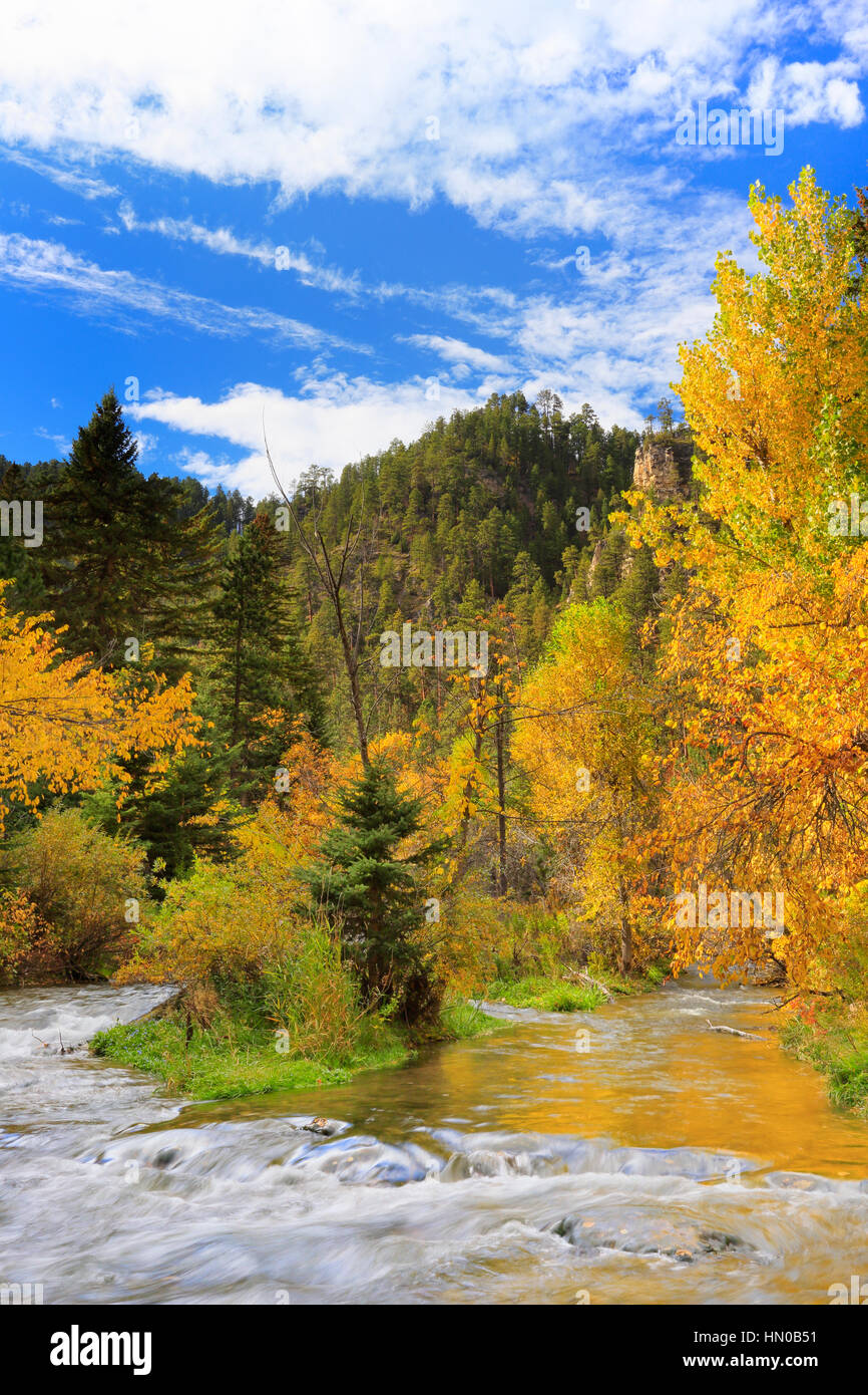 Spearfish Creek, Spearfish Canyon, Spearfish, South Dakota, USA Stock