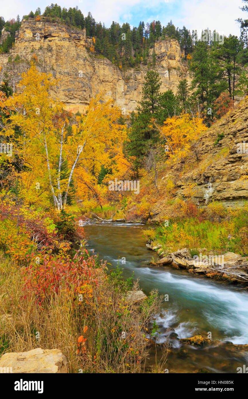 Long Valley Picnic Area, Spearfish Creek, Spearfish Canyon, Black Hills, Spearfish, South Dakota
