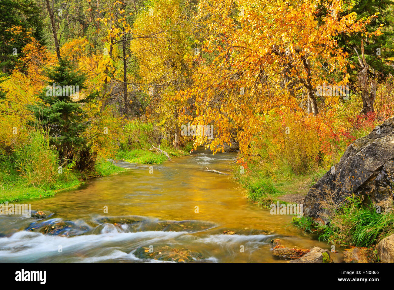 Escape to Spearfish Canyon: Your South Dakota Adventure Awaits!
