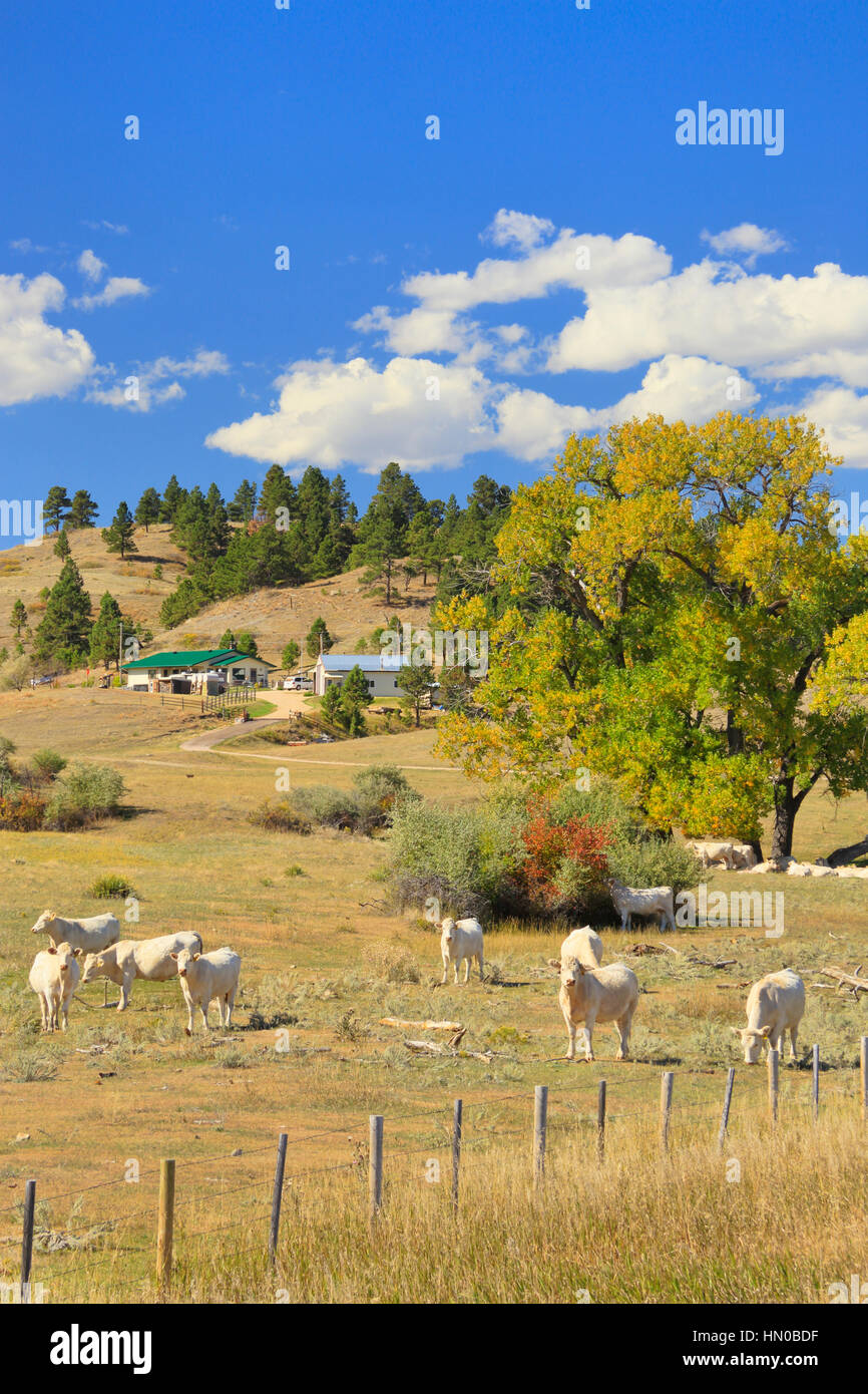 Ranch, Aladdin, Wyoming, USA Stock Photo Alamy