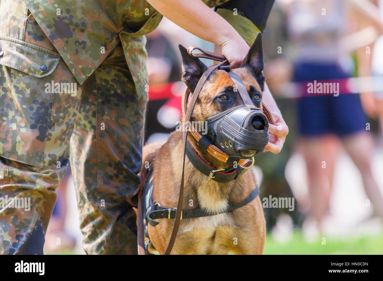 police dog muzzle