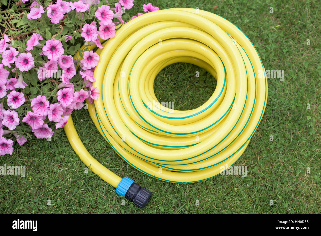 Yellow plastic  hose-pipe on the grass with coupling Stock Photo