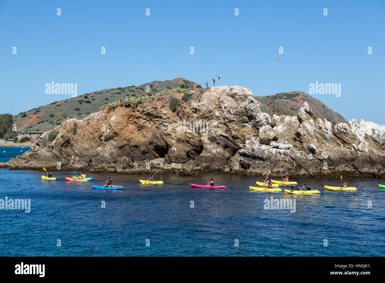 A group of kayakers explore the coastline near Two Harbors on Catalina Island. Stock Photo