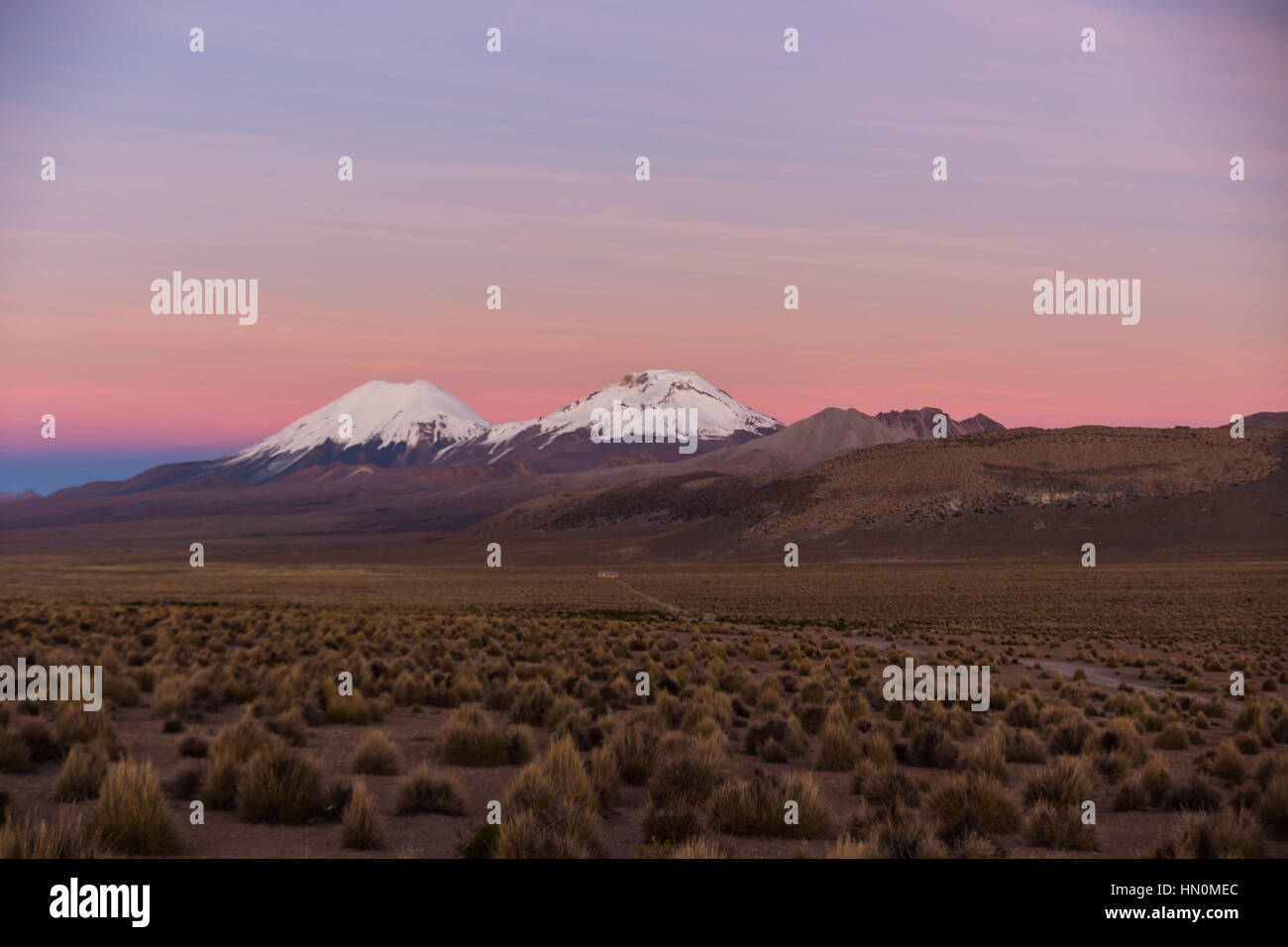 Sunset in Andes. Parinacota and Pomerade volcanos. High Andean landscape in the Andes. High Andean tundra landscape in the mountains of the Andes. Stock Photo