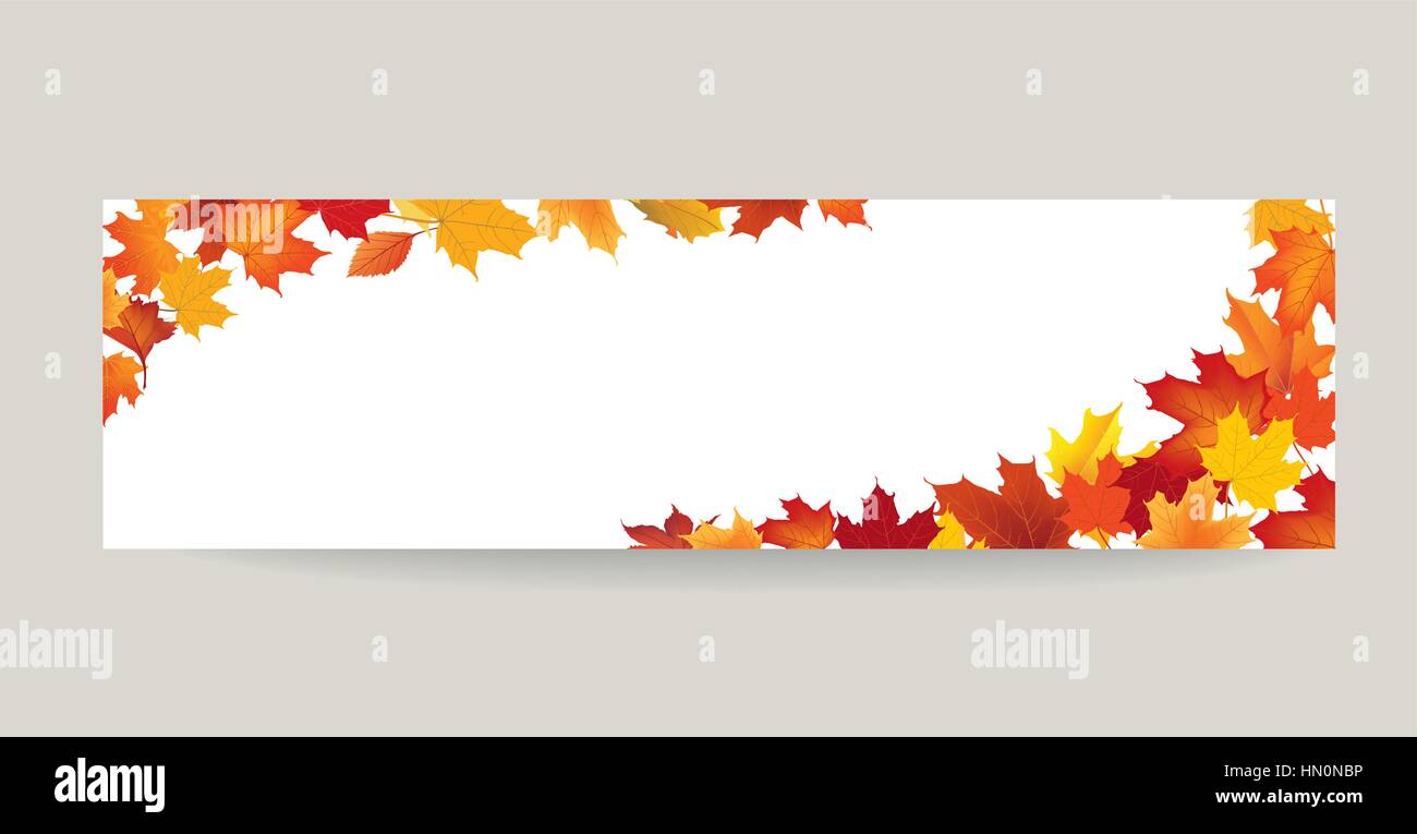 Fall leaf nature banner. Autumn leaves background. Season floral horizontal wallpaper Stock Vector