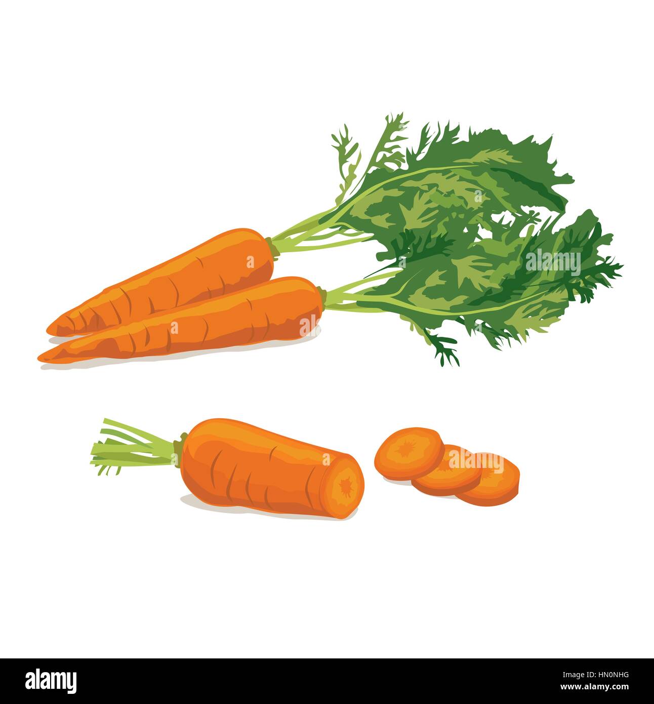 Carrots. Ripe carrot food ingredient. Vegetable carrot isolated Stock ...