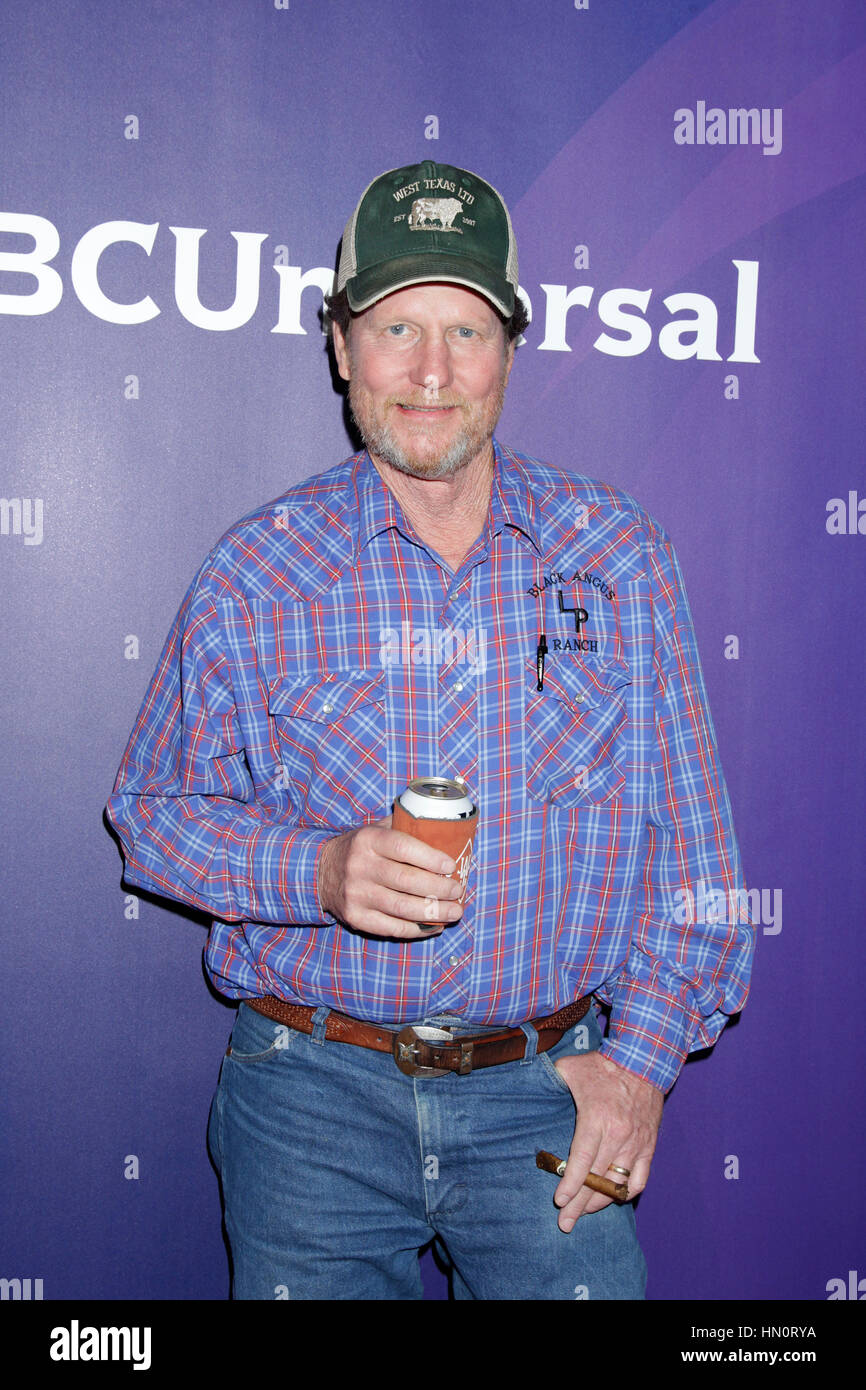Rooster mcconaughey hi-res stock photography and images - Alamy