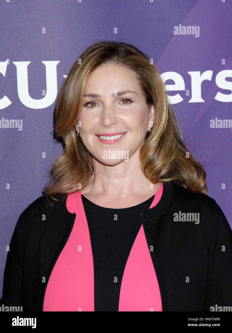 peri-gilpin-2015-tv-tonight-mr-robinson-black-ish