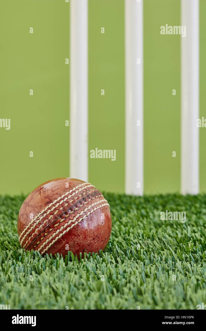 A studio photo of cricket gear on grass Stock Photo Alamy