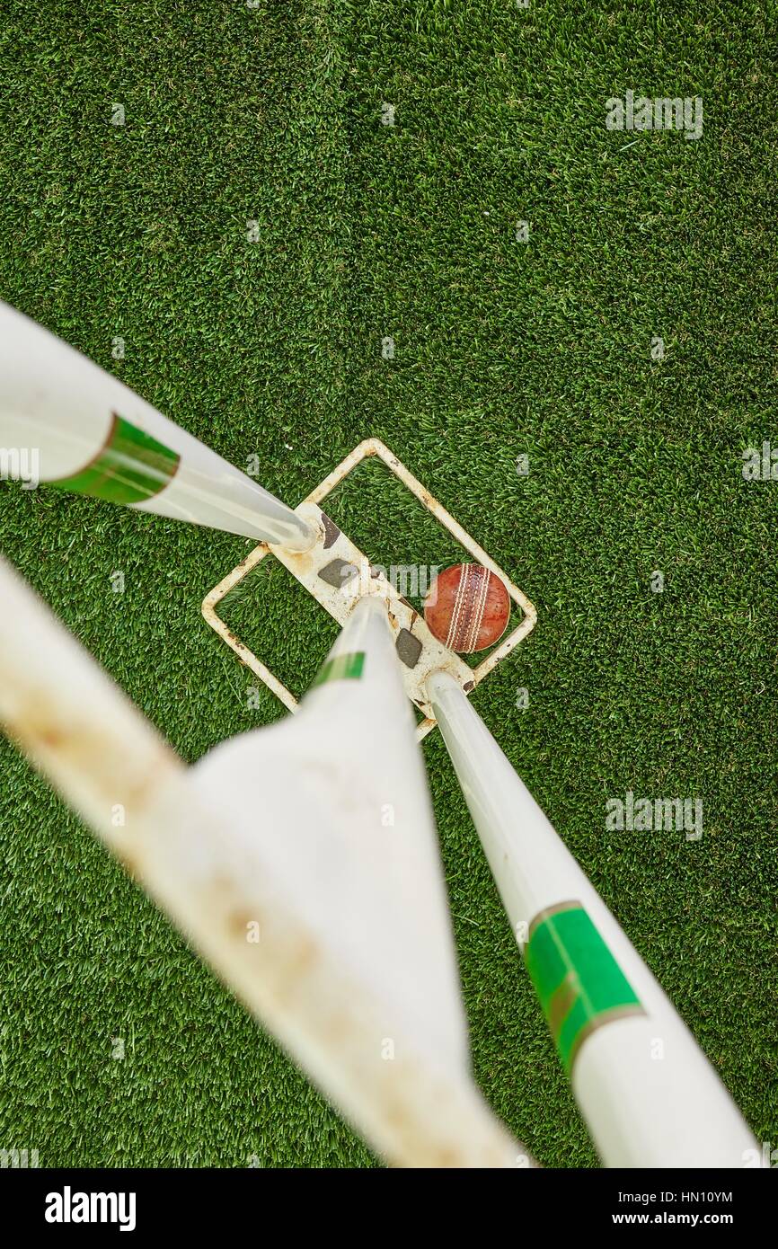 A studio photo of cricket gear on grass Stock Photo Alamy