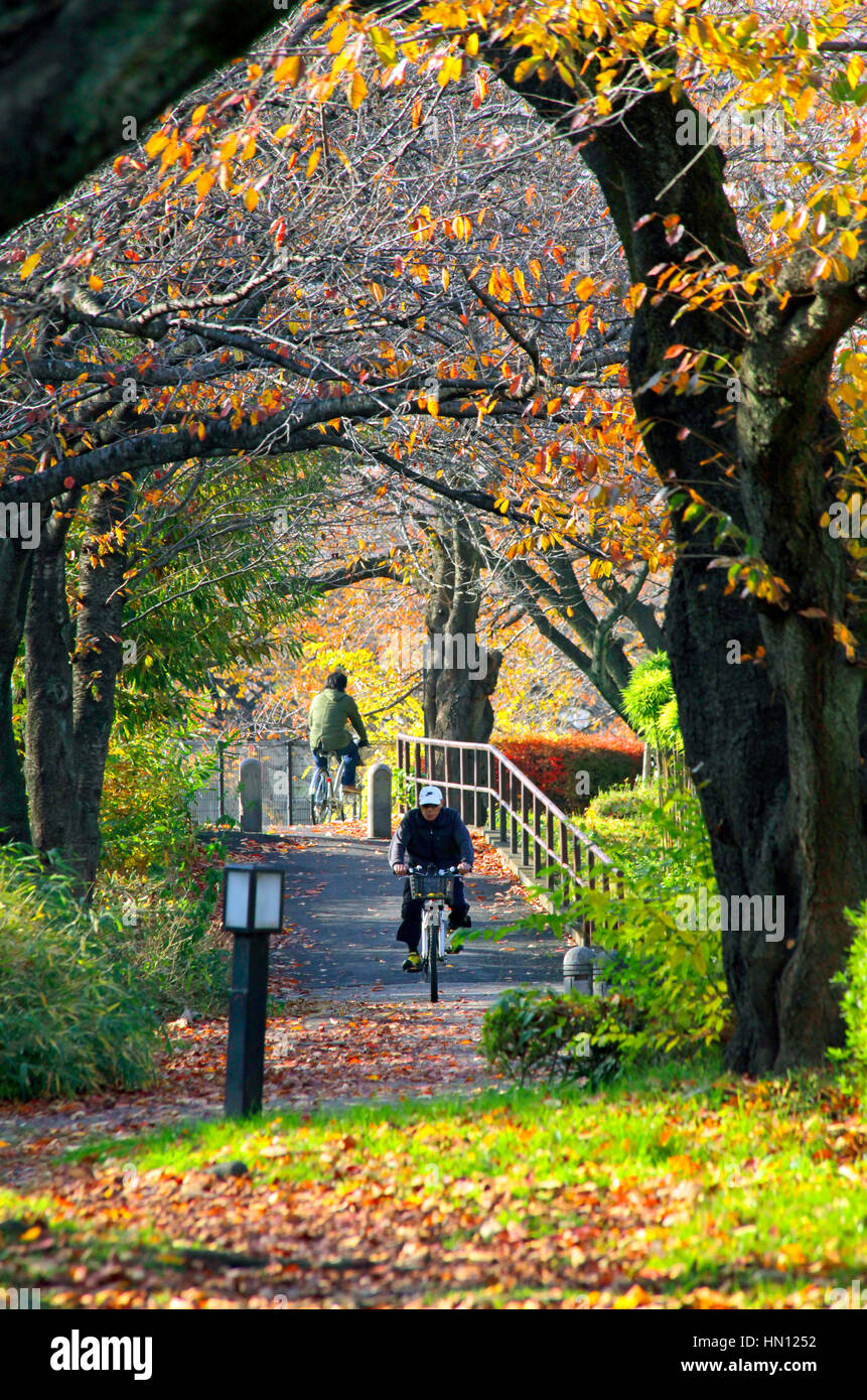 Negawa Ryokudo Park in Tachikawa cty Tokyo Japan Stock Photo