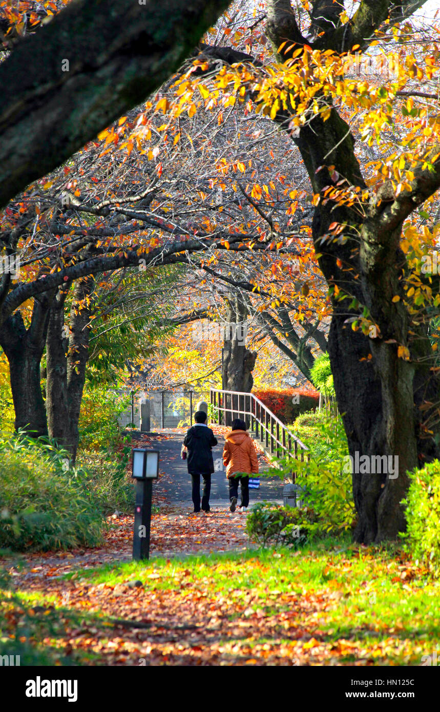 Negawa Ryokudo Park in Tachikawa cty Tokyo Japan Stock Photo