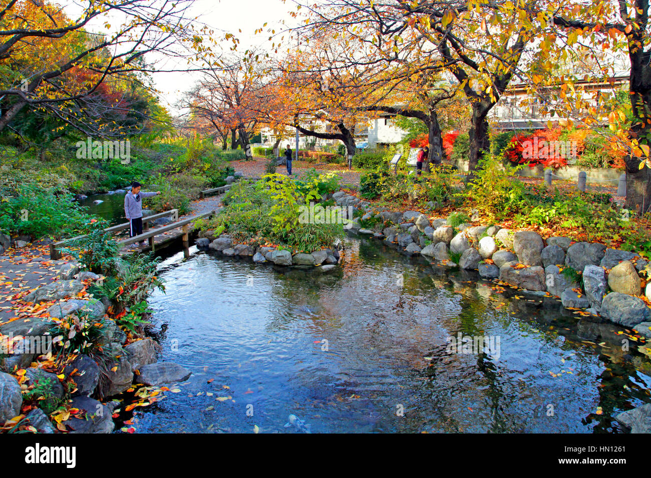 Negawa Ryokudo Park in Tachikawa cty Tokyo Japan Stock Photo
