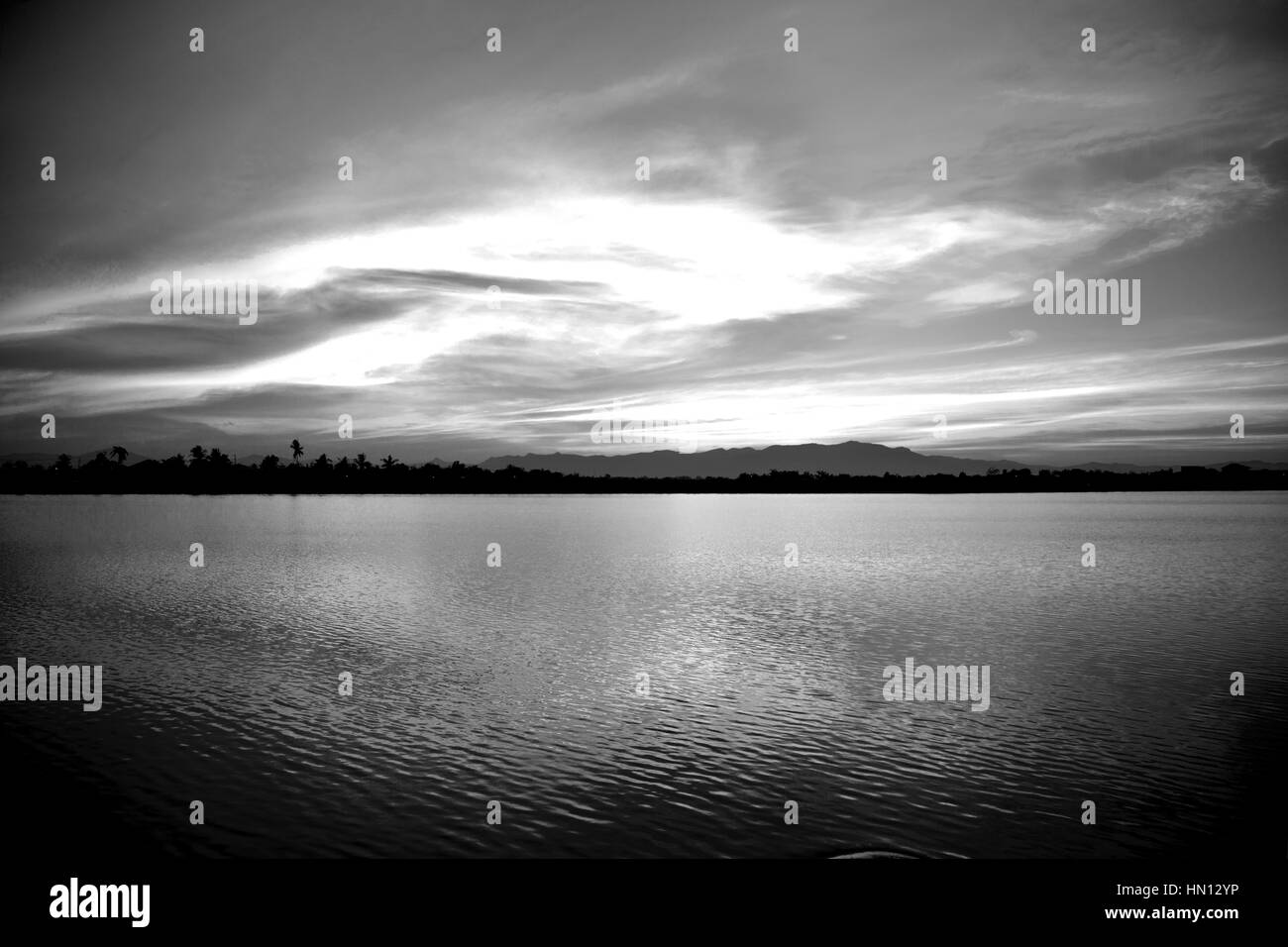 Bush sunrise with silhouette Black and White Stock Photos & Images - Alamy