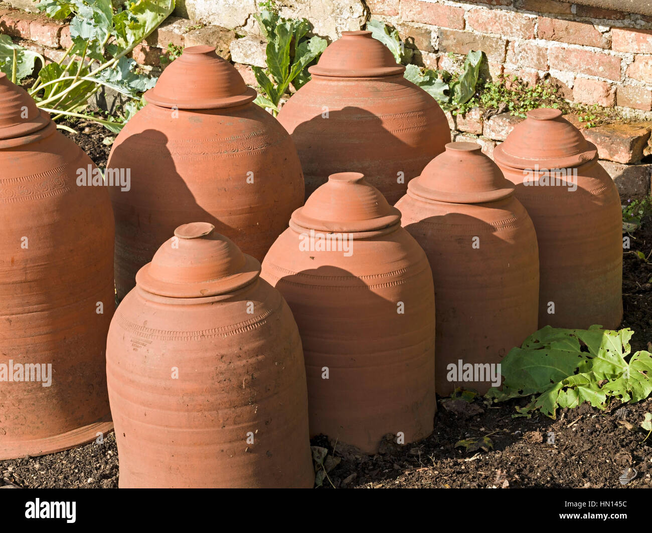 Terracotta Rhubarb forcing pots Stock Photo