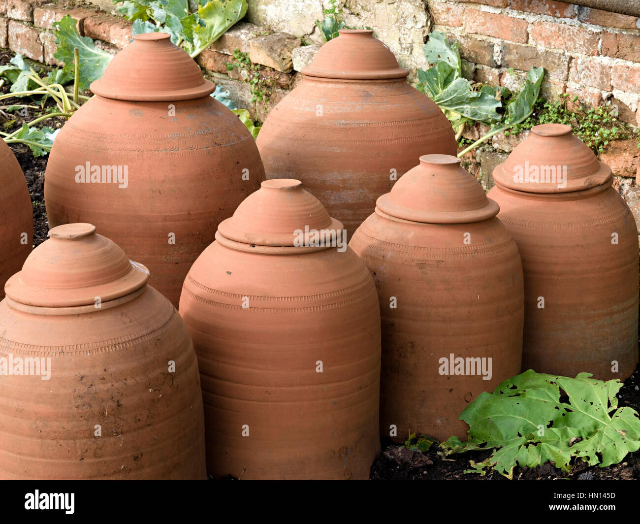 Terracotta Rhubarb forcing pots Stock Photo