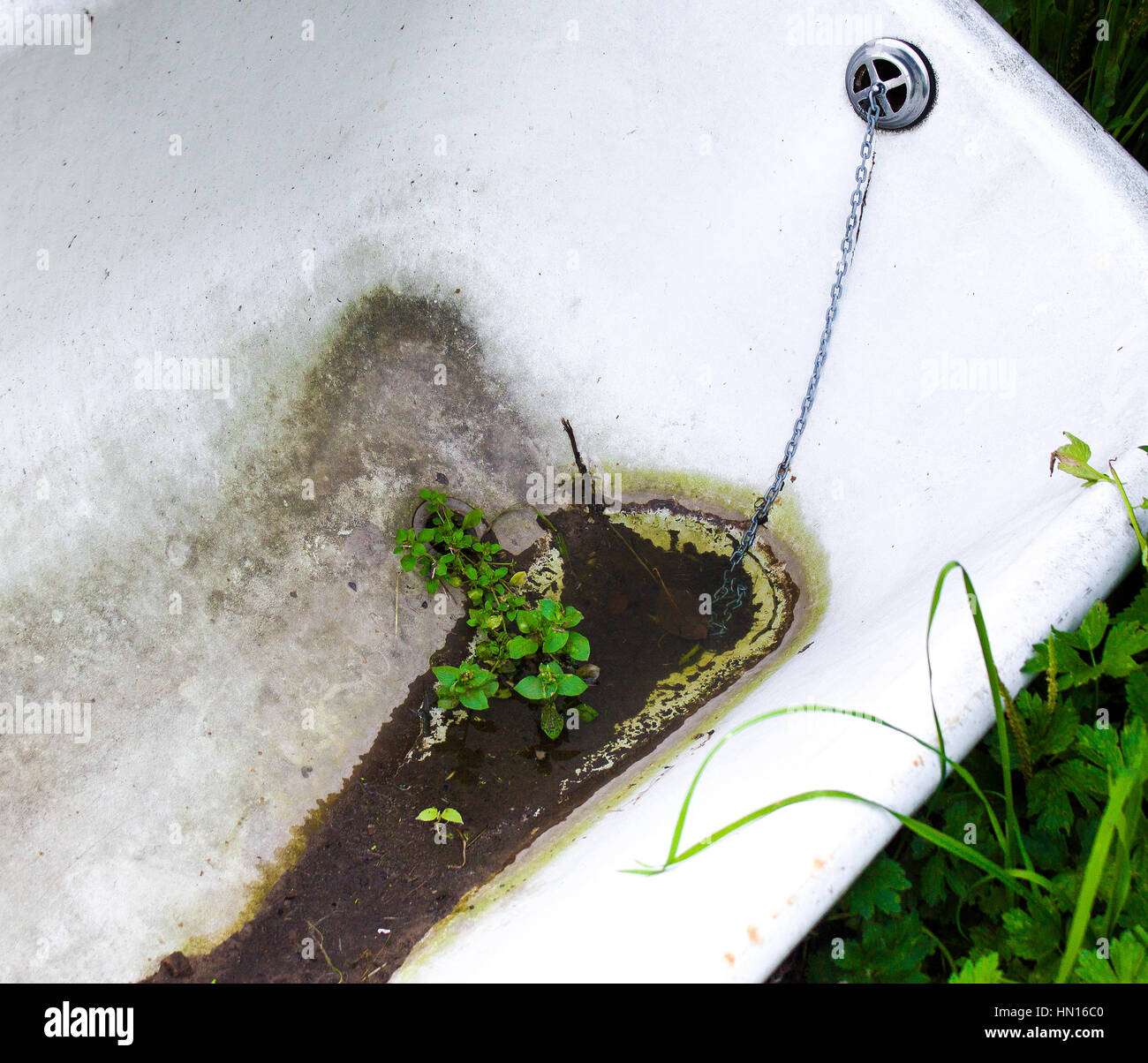 Old bath.Dirty old bath tub abandoned in a field and recycled as a drinking trough for cattle. Stock Photo