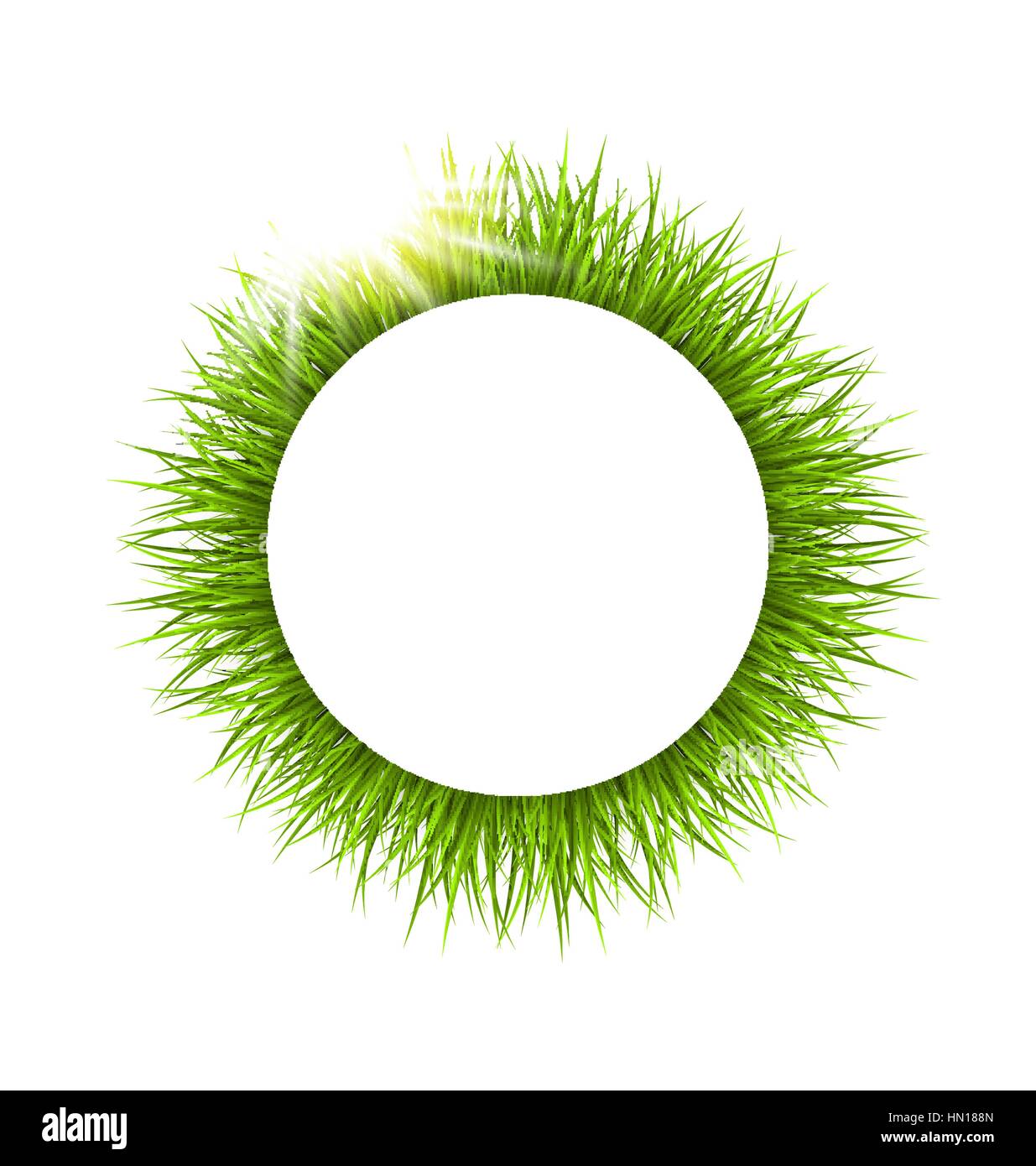 Circle frame with grass and sunlight. Floral nature background Stock ...