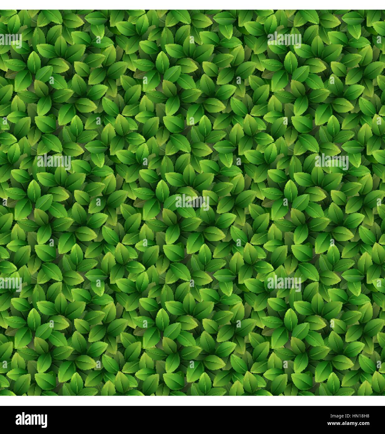 Fresh foliage background Stock Vector Images - Alamy