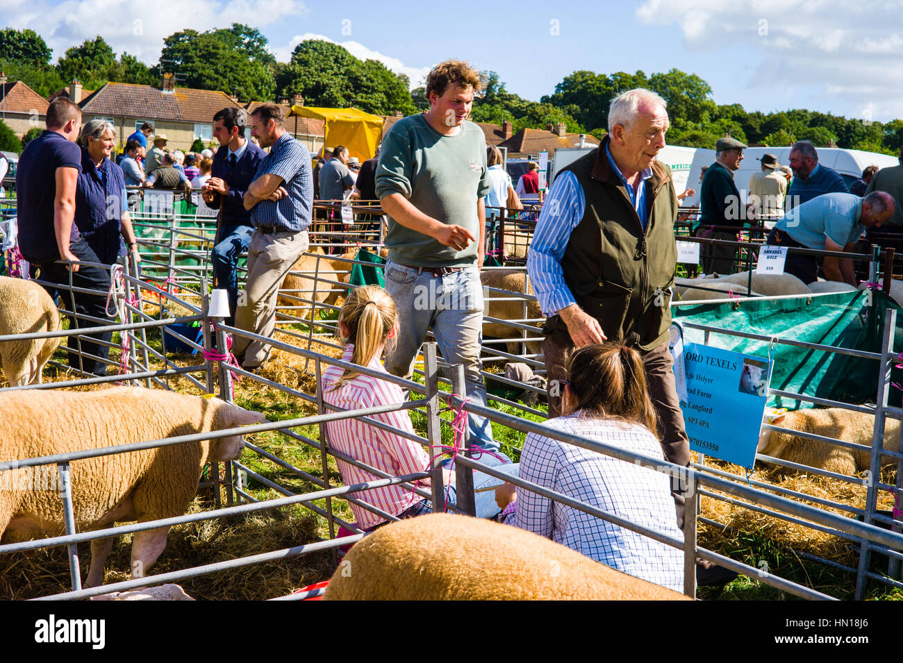 Sheep sales hires stock photography and images Alamy