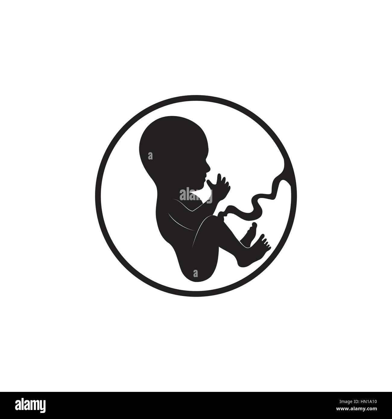 Fetus icon. Embryo sketch illustration Stock Vector