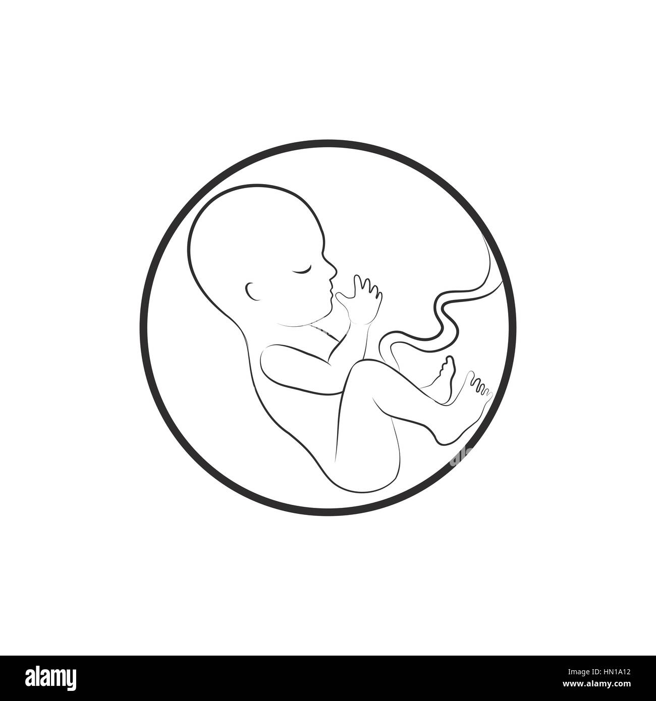Fetus icon. Embryo sketch illustration Stock Vector
