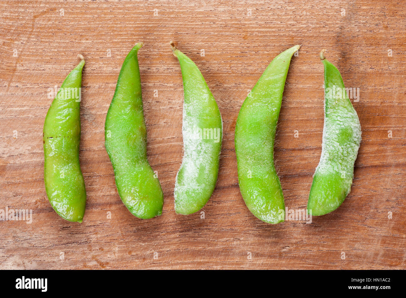 frozen edamame soybeans, boiled green soybeans Stock Photo Alamy