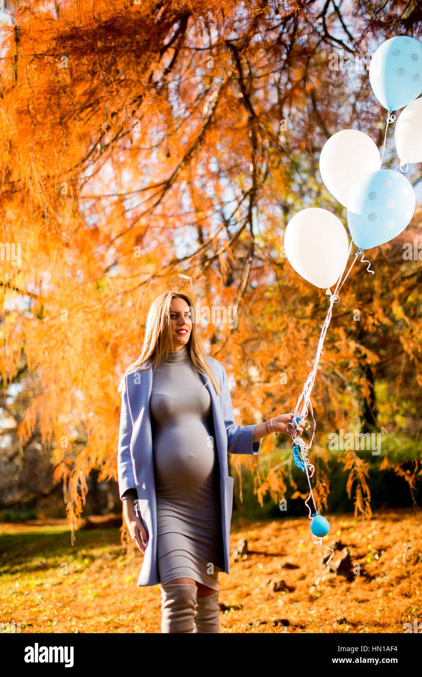 Young pregnant woman walks in autumn park with balloons in hand Stock ...