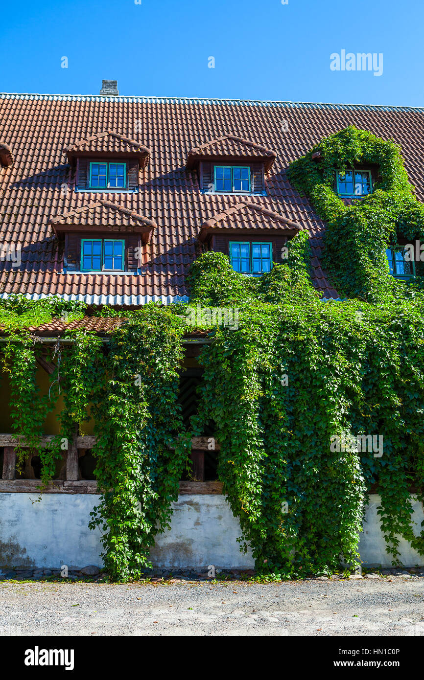 Ivy covered beautiful old stone house with tiled roof and small windows