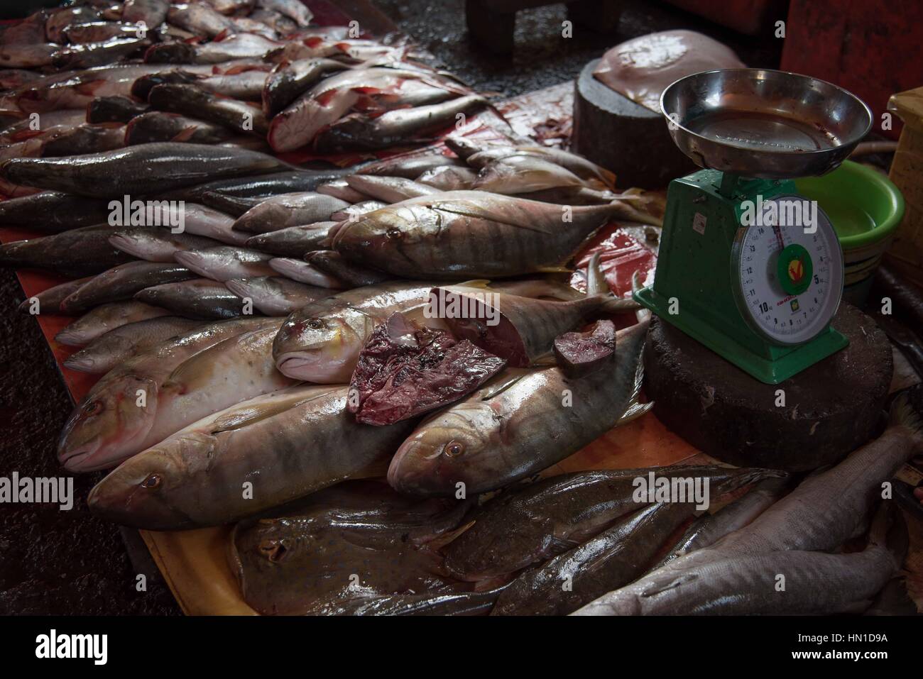 Piles of fresh fish for sale at Kampot fish market, Cambodia Stock