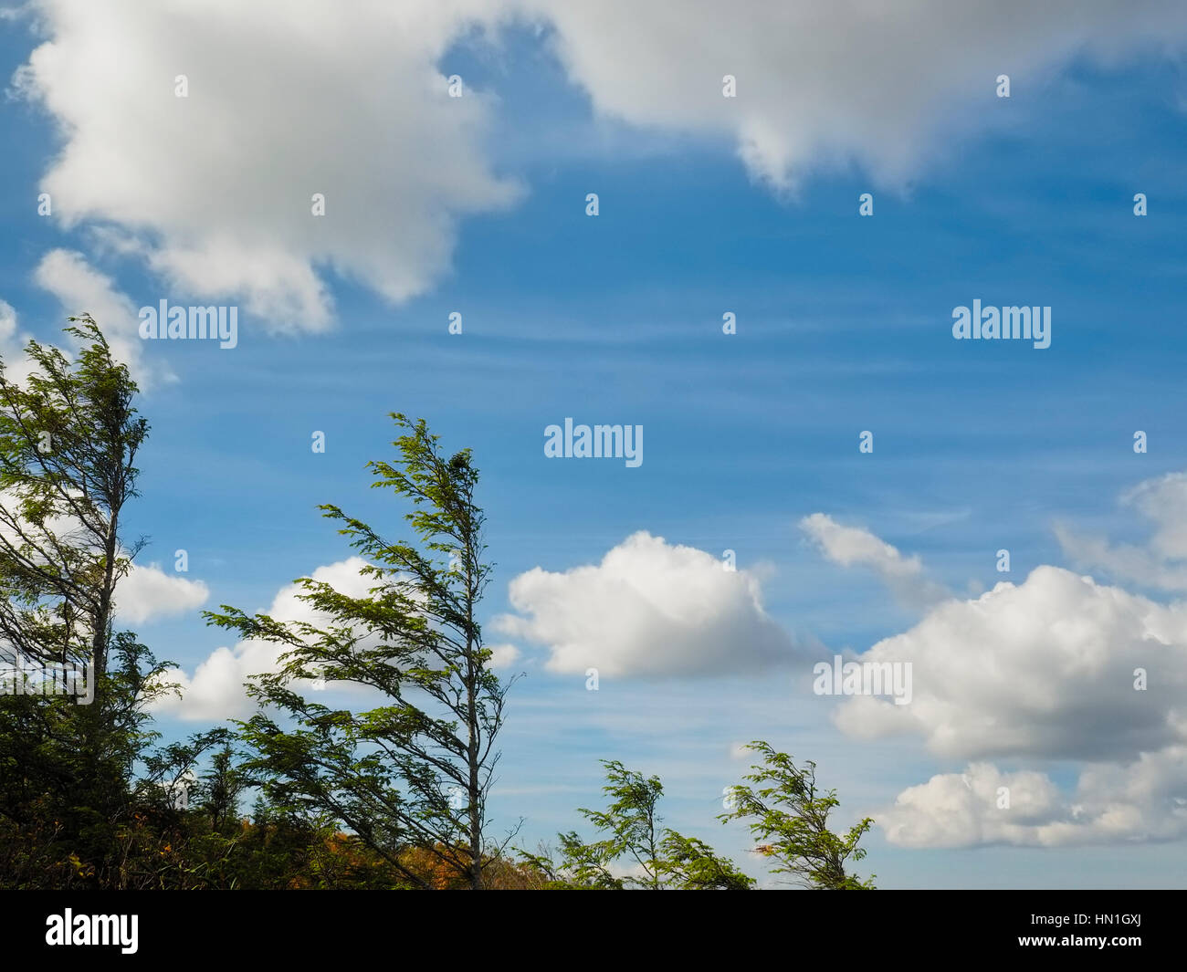 On Flat Rock, Blue Ridge Parkway, North Carolina, USA Stock Photo