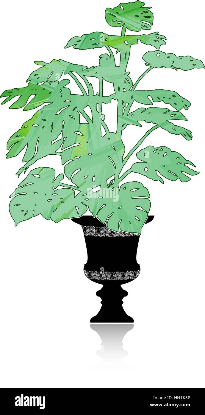 Monstera in a flower pot Stock Vector Image & Art - Alamy