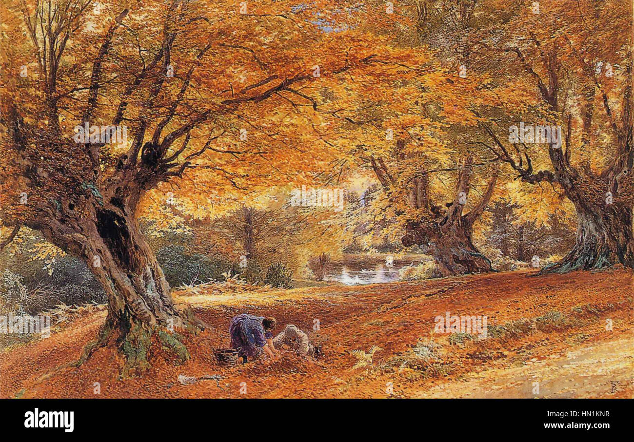 Myles Birket Foster Burnham Beeches Stock Photo Alamy