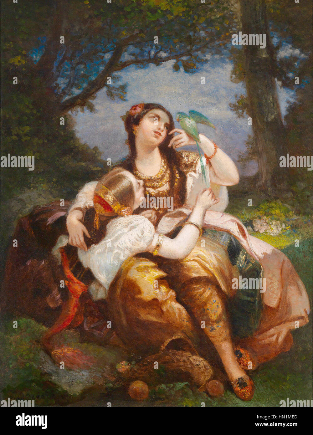 Louis Devedeux (circle) Der bewunderte Papagei Stock Photo Alamy