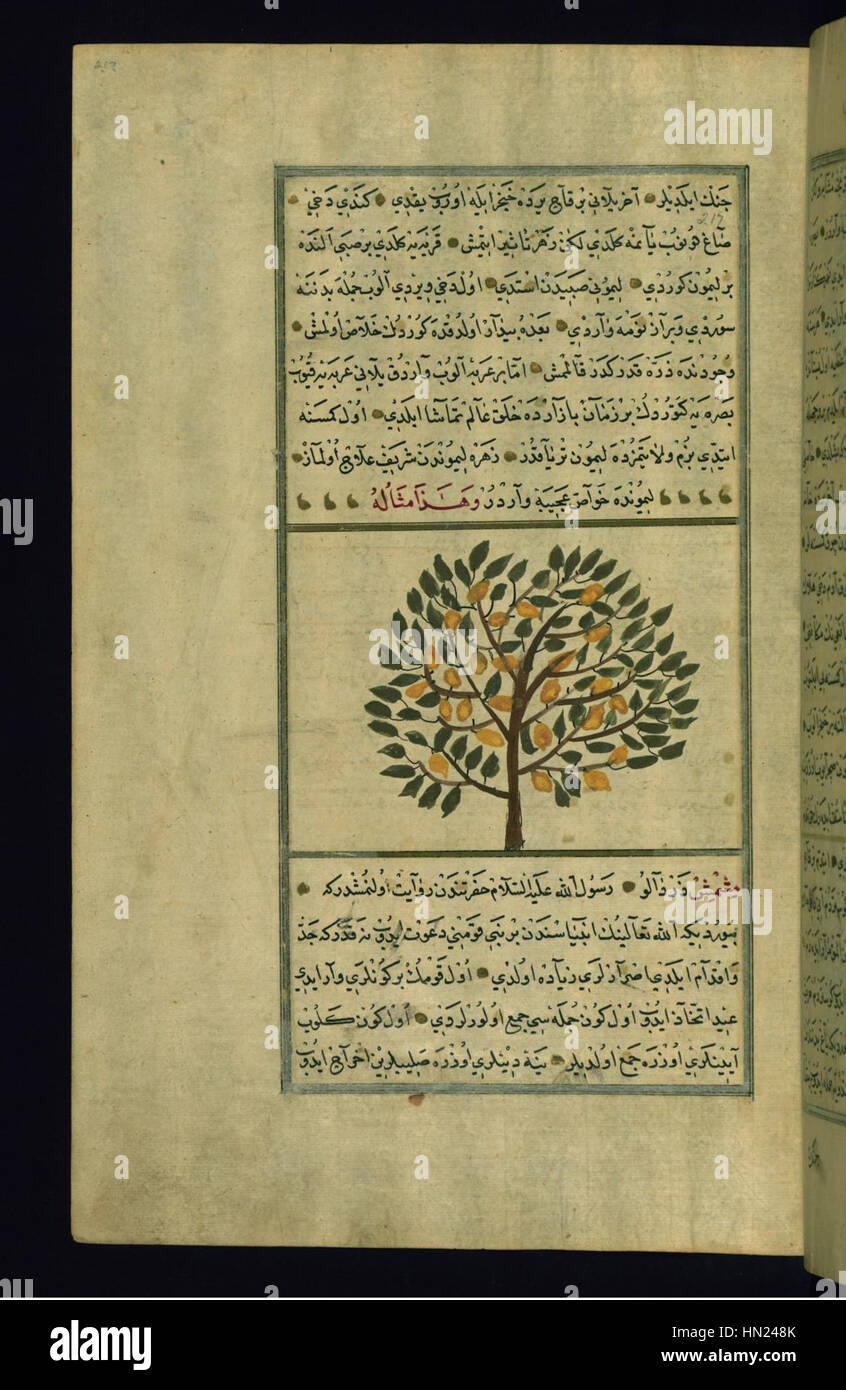 Manuscript Tree This manuscript page, 'A Lemon Tree' by Muhammad ibn Muhammad Shakir ...