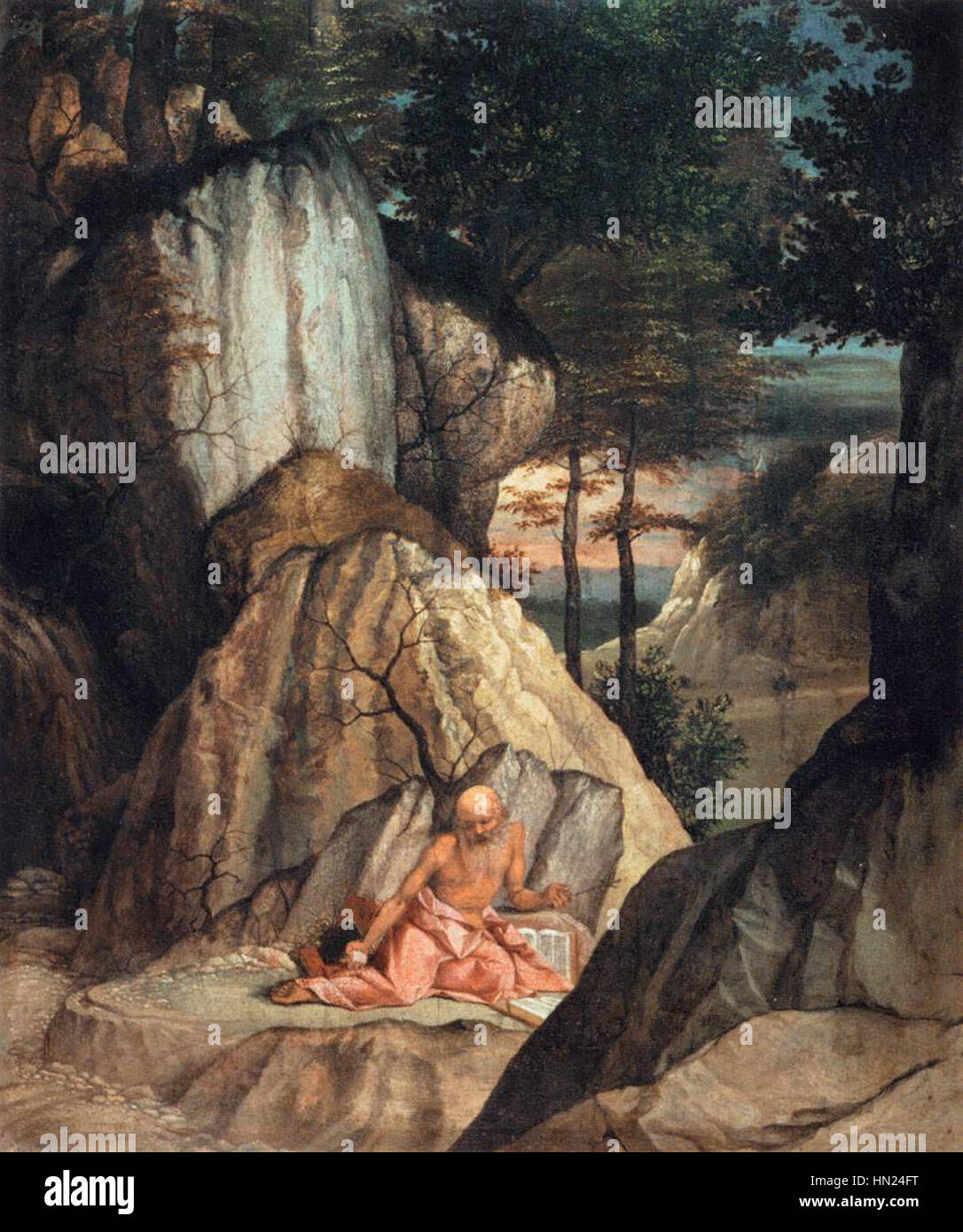 Lorenzo Lotto Penitent St Jerome WGA13655 Stock Photo Alamy
