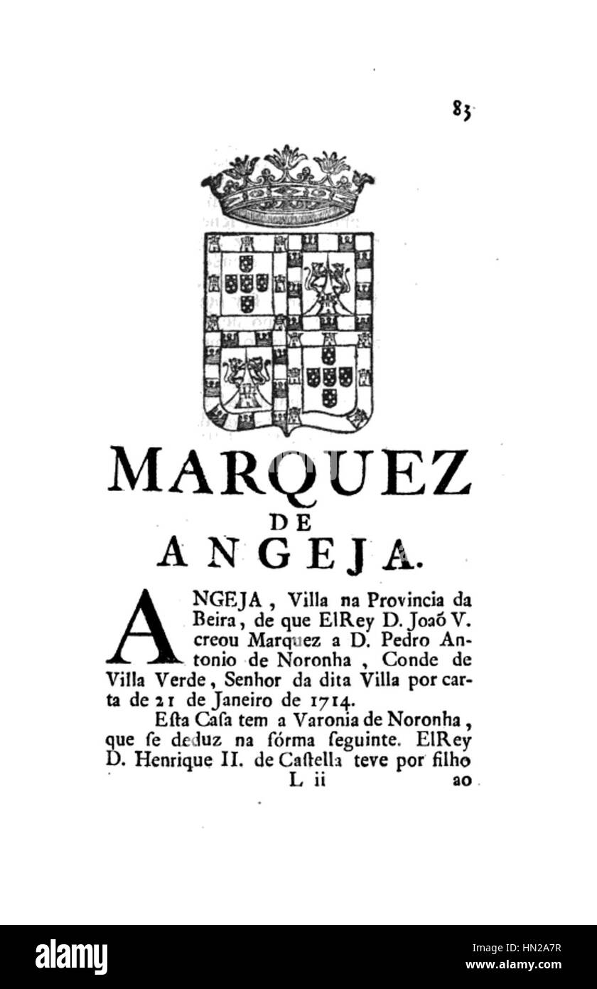 Memorias Historicas e Genealogicas dos Grandes de Portugal - Marquez de Angeja Stock Photo