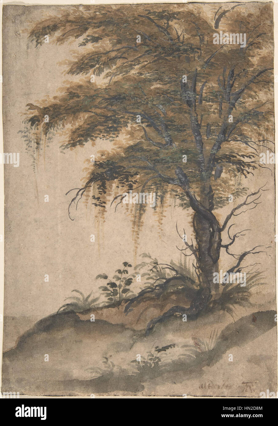 Marten van Valckenborch Study of a tree Stock Photo Alamy