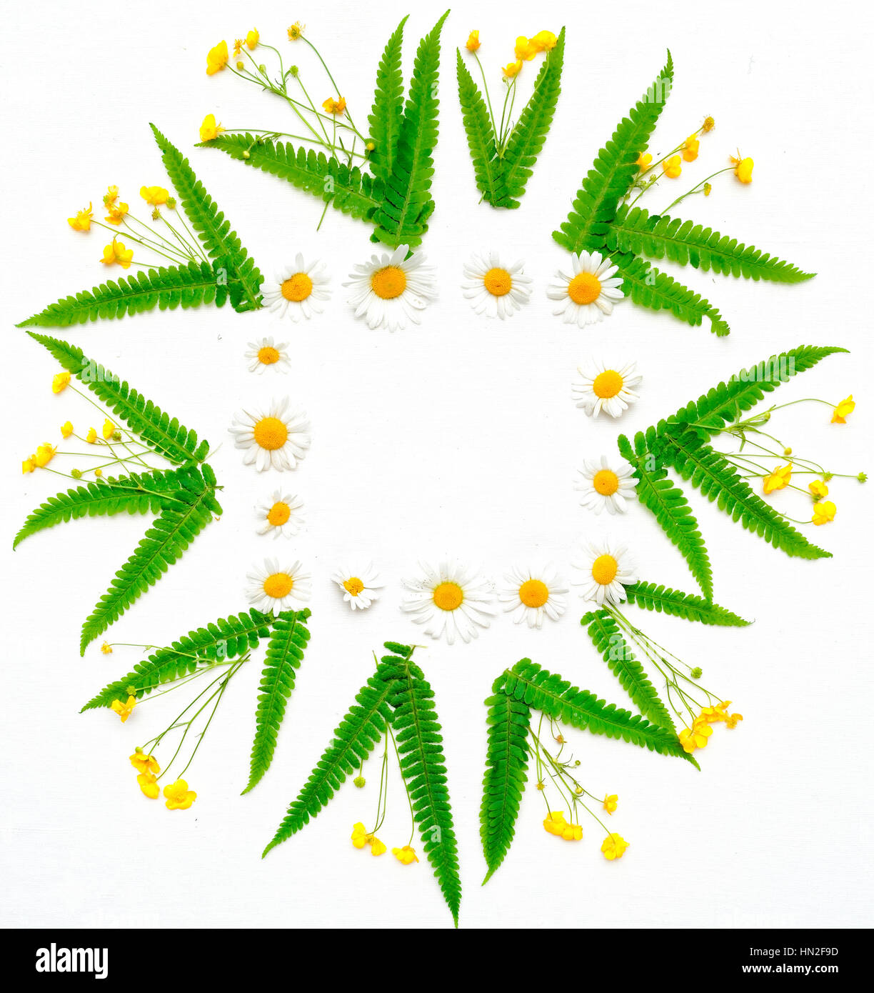 Wreath with chamomile, ranunculus and leaves of fern on the white background. Flat lay. Stock Photo